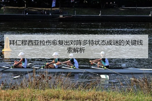 bai-ren-mu-xi-ya-la-shang-yu-fu-chu-dui-zhen-duo-te-zhuang-tai-cheng-mi-de-guan-jian-xian-suo-jie-xi-2-263.jpg